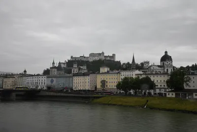 DSC_6138 (Large).JPG